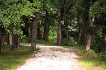 Hike at Rocky Creek Ranch